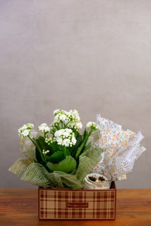 Kit Essência Natural