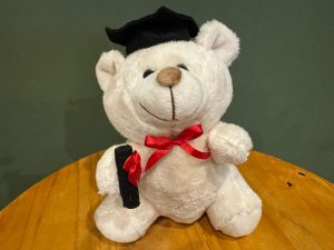 Urso encanto formatura